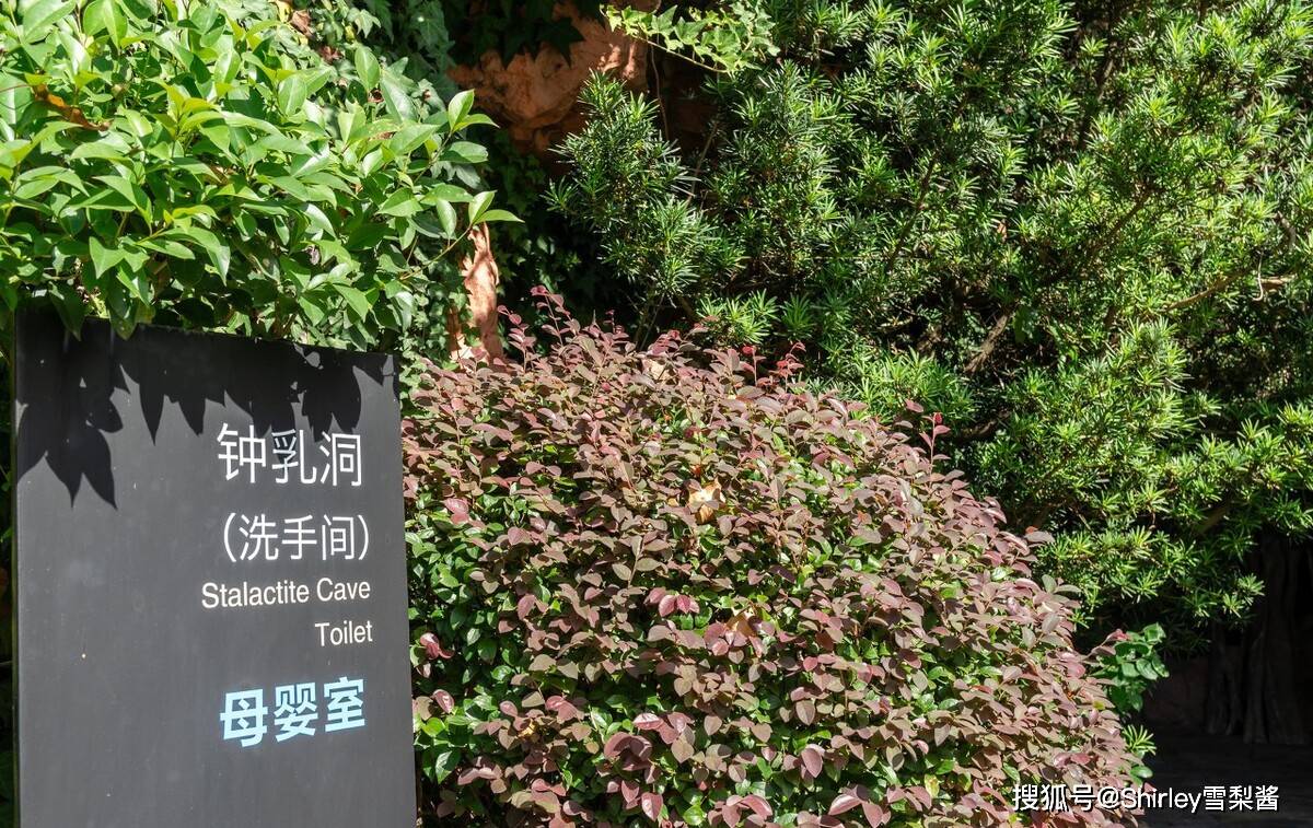 上海“最贵”厕所，造价500万并不金碧辉煌，而是奇葩的溶洞风格