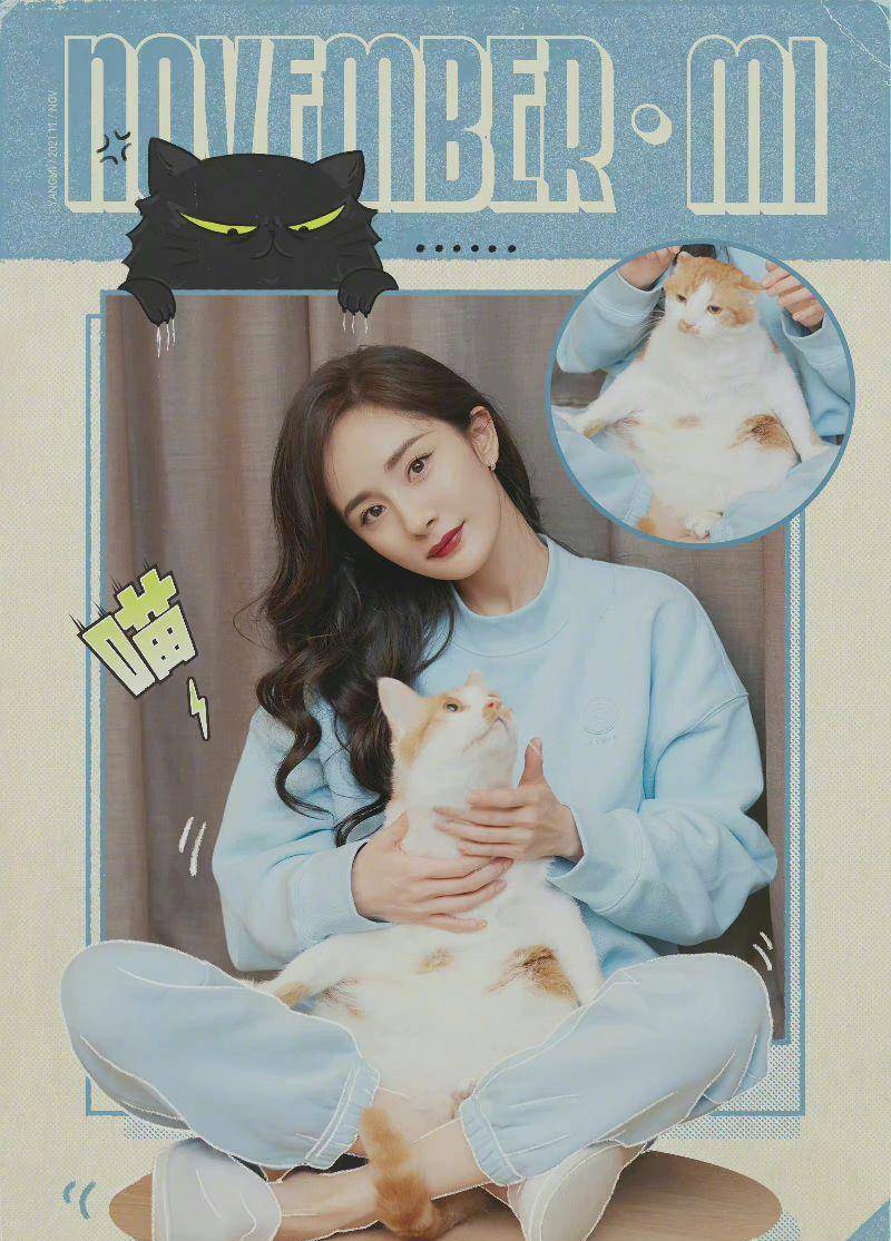 果然宠物和主人的爱是相互的,来看看大幂幂的猫给杨幂比心.