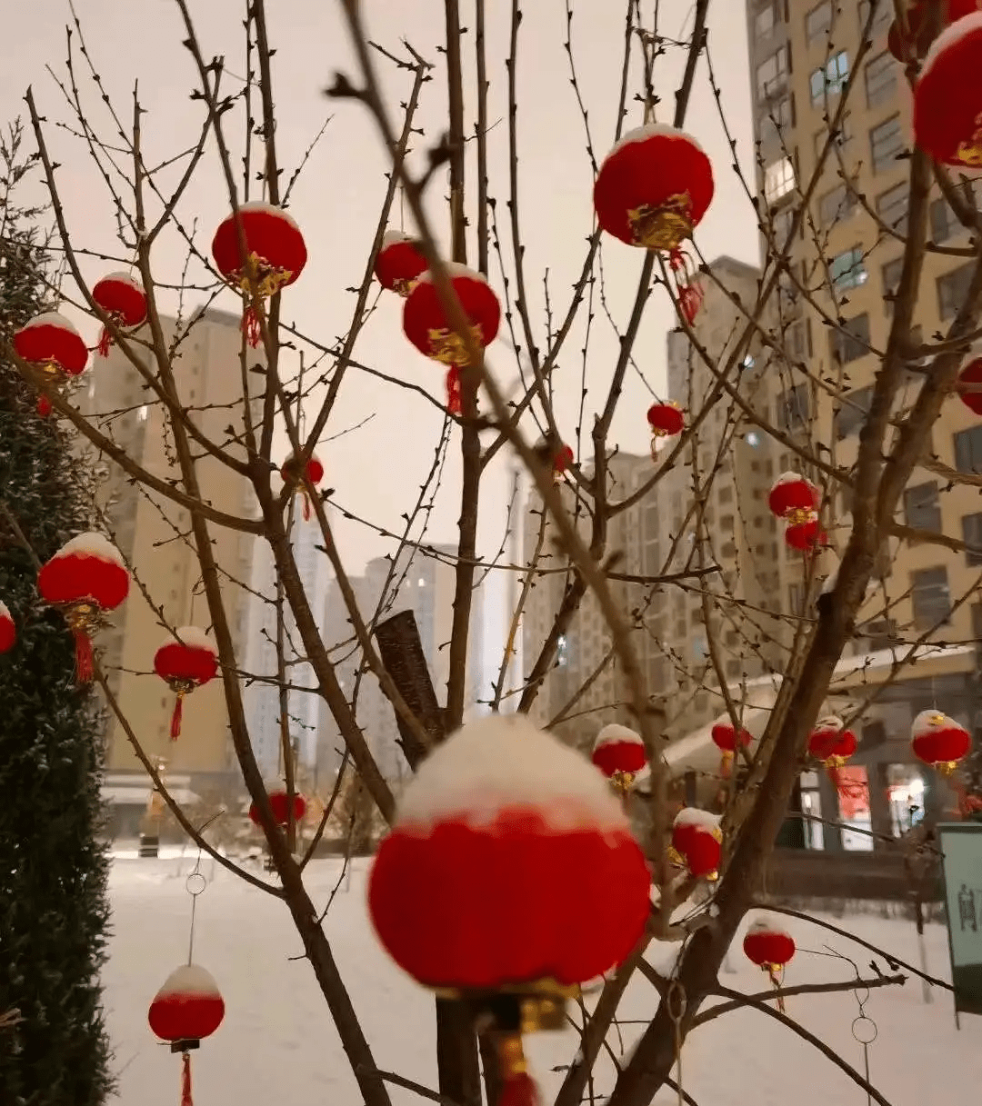 年味|扫雪除冰干起来！