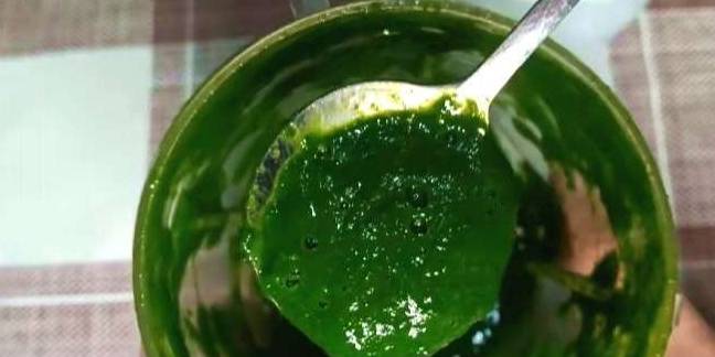 八个月宝宝的辅食大全菠菜 010a5021c8df45efa7c9e4158166b1ca.jpeg