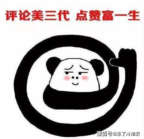 中韩 中韩明星“撞衫”，刘亦菲不愧是仙女，倪妮时尚感更强