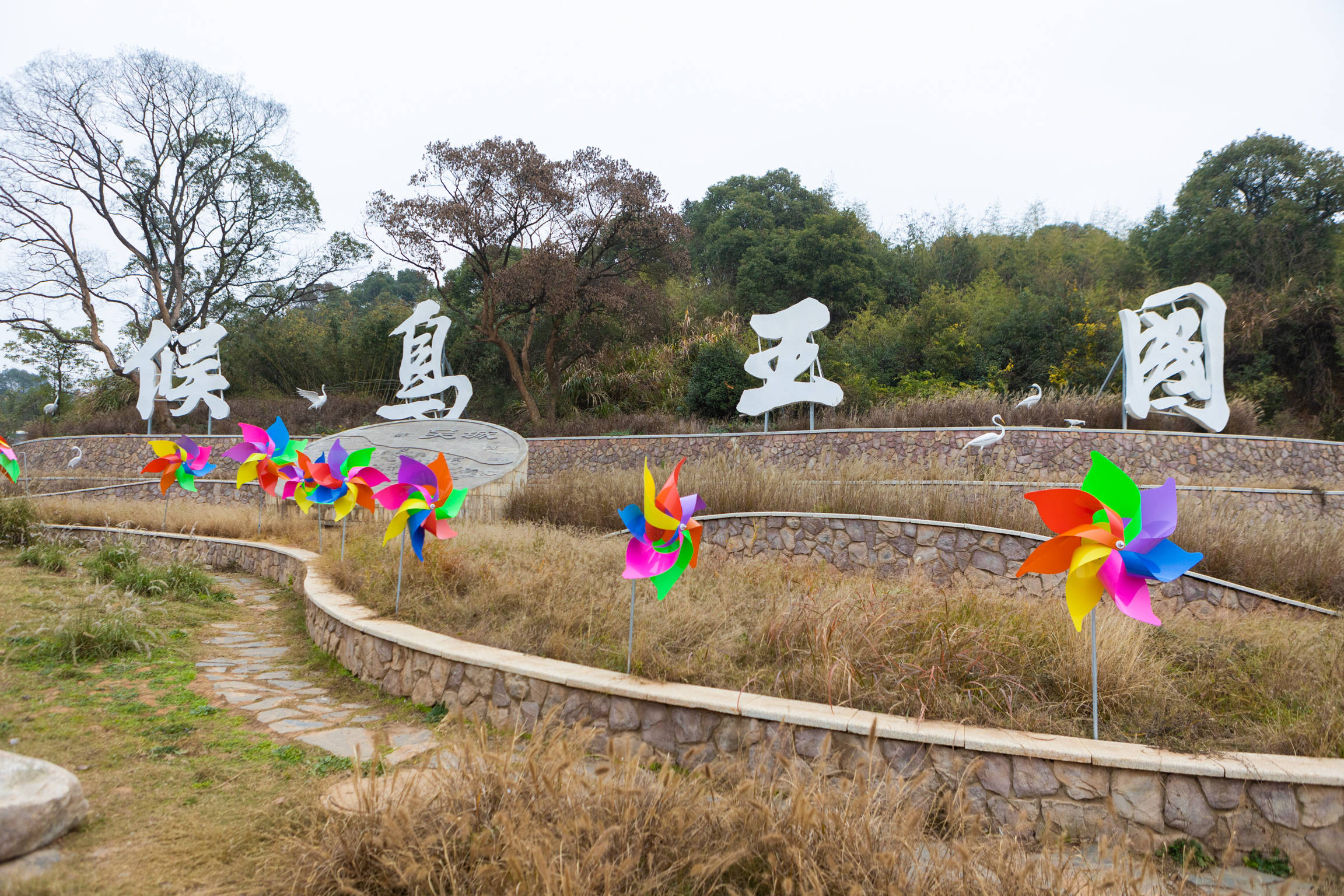 风光|?假期到江西旅行，鄱阳湖看好风光，带上相机这就是观鸟天堂