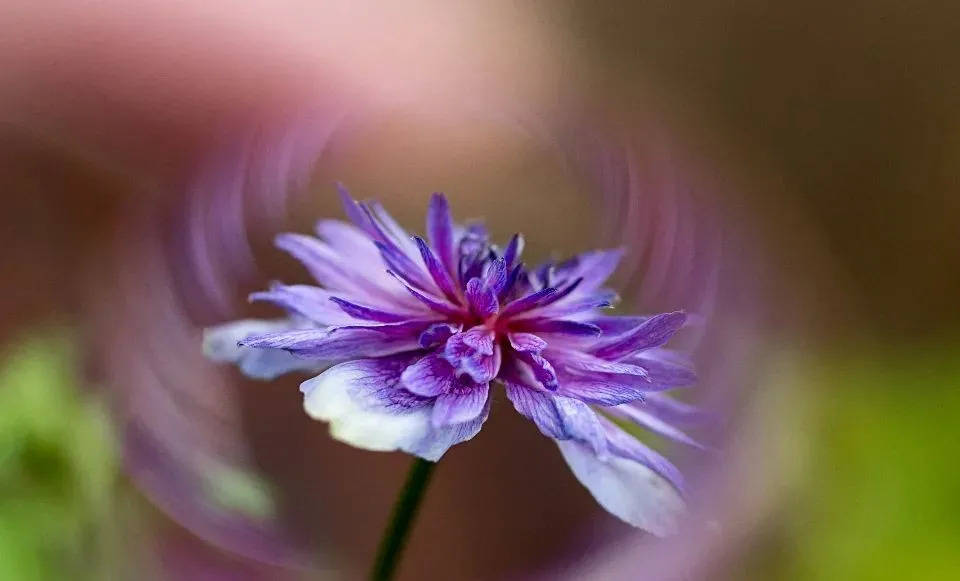 格力电器代理商老板套现股票,资金链告急还是看淡公司？-家电圈官网