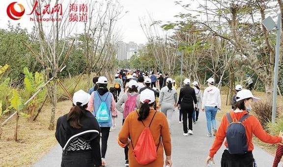 海口：徒步游湿地 风景别样好