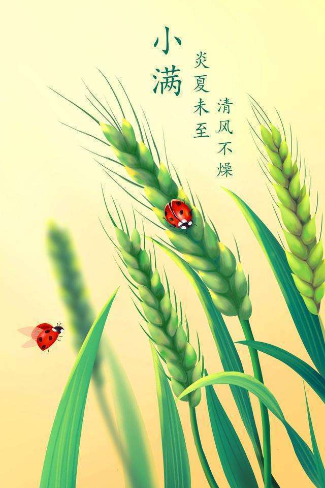 诗词|【任凤荣诗歌】辛丑年诗咏‖二十四节气 （全集）