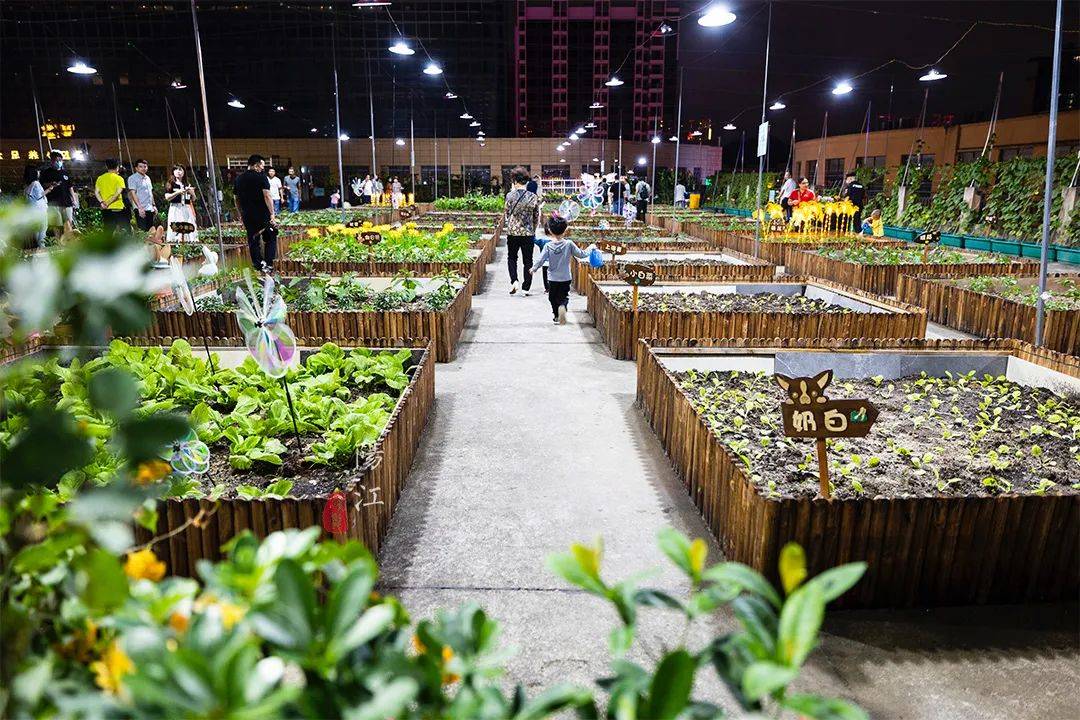 春节遛娃好去处，这个风筝主题的网红街区，晚上风筝会发光