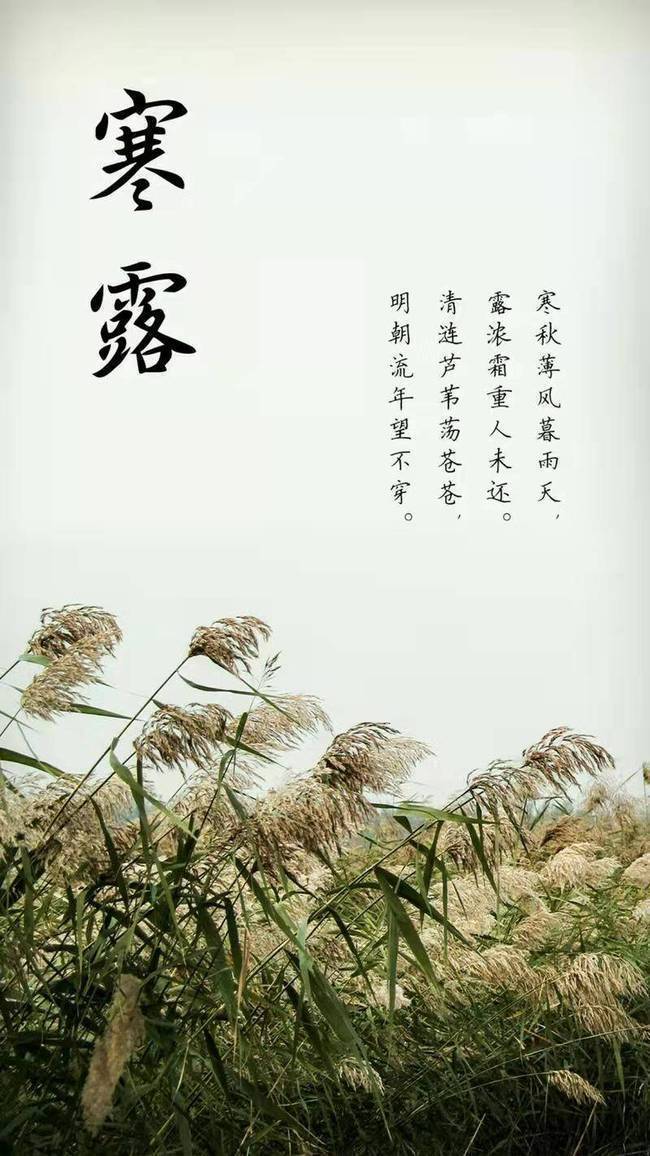 诗词|【任凤荣诗歌】辛丑年诗咏‖二十四节气 （全集）