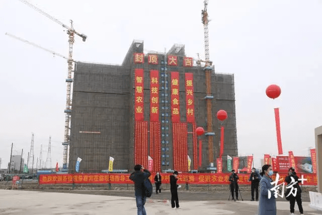 投资16亿、年出栏35万头！广州17层高的“猪舍”封顶