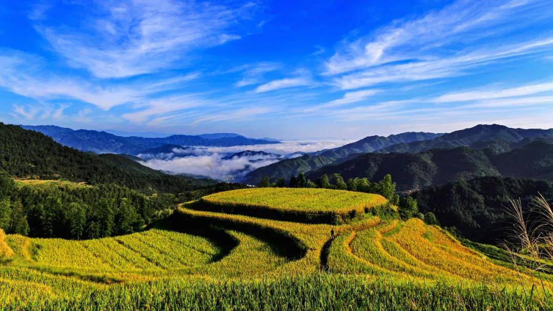 遂川:全域旅遊展新顏_梯田_紅色_文化