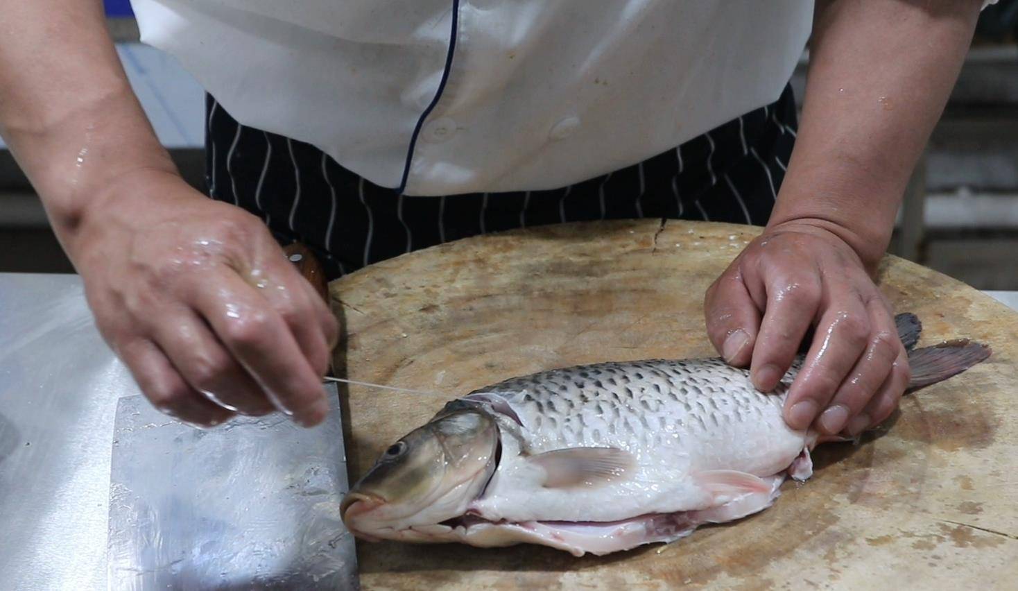 怎么养鱼不腥 006ae1b4608e45f897500565b503ec29.jpeg