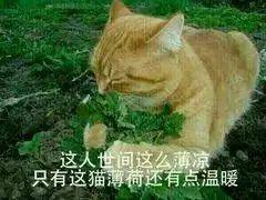 01a334221cbe49ecb69c8472b9fafd4a.jpeg