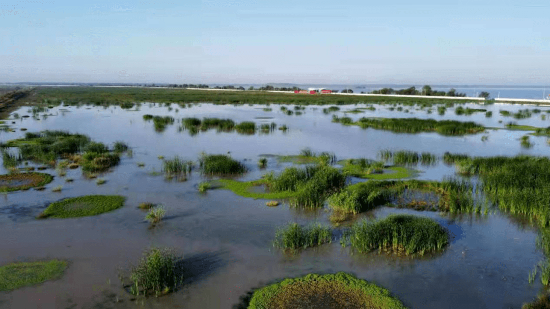 汝南县宿鸭湖湿地自然保护中心开展第26个世界湿地日宣传活动