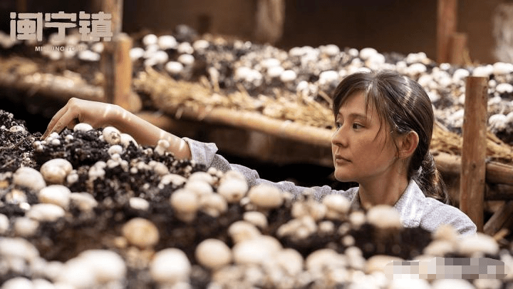 宋运萍|正午阳光八大女性角色!《开端》李诗情仅排第八,第一名心服口服