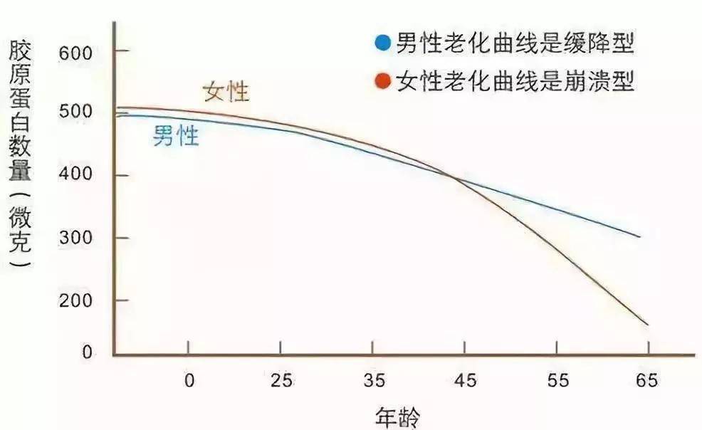 补充如何花1%的力气，在新年变美100倍？