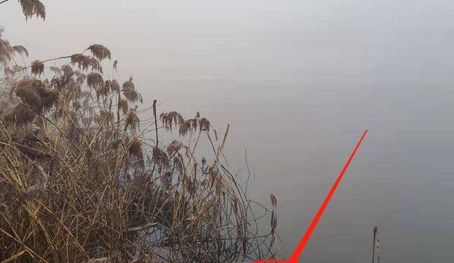 什么时候可以玩传统钓 3d0cb68c169a46e09f2425c7c7023526.jpeg