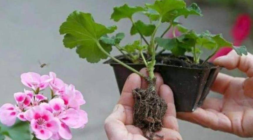 7959da2be4a9459aac041c050a1eefeb.jpeg