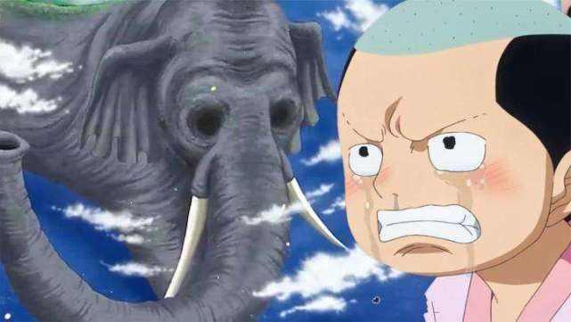 共鸣|海贼王1039话情报：象主与桃之助达成共鸣，它要出手消灭敌人