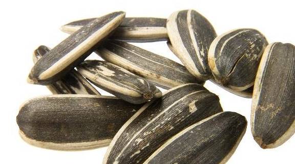 因为|瓜子和花生，一个让你长胖，一个让你减肥，或许很多人都吃错了