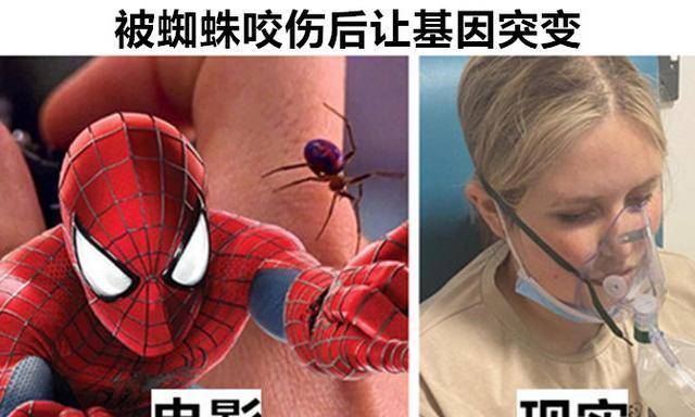 《蜘蛛侠》这部电影,相信很多人都看过,主角被蜘蛛咬伤之后,身体内的