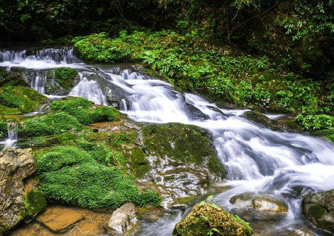 距重庆65公里，藏着一座原生态自然风景公园，占地一百平方公里