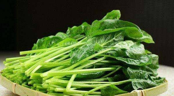 菠菜是什么季节生长的 9fd56c4e46b740d082c31cf473e57a68.jpeg