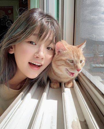 朴素丹抗癌中确诊新冠回诊测出pcr阳性