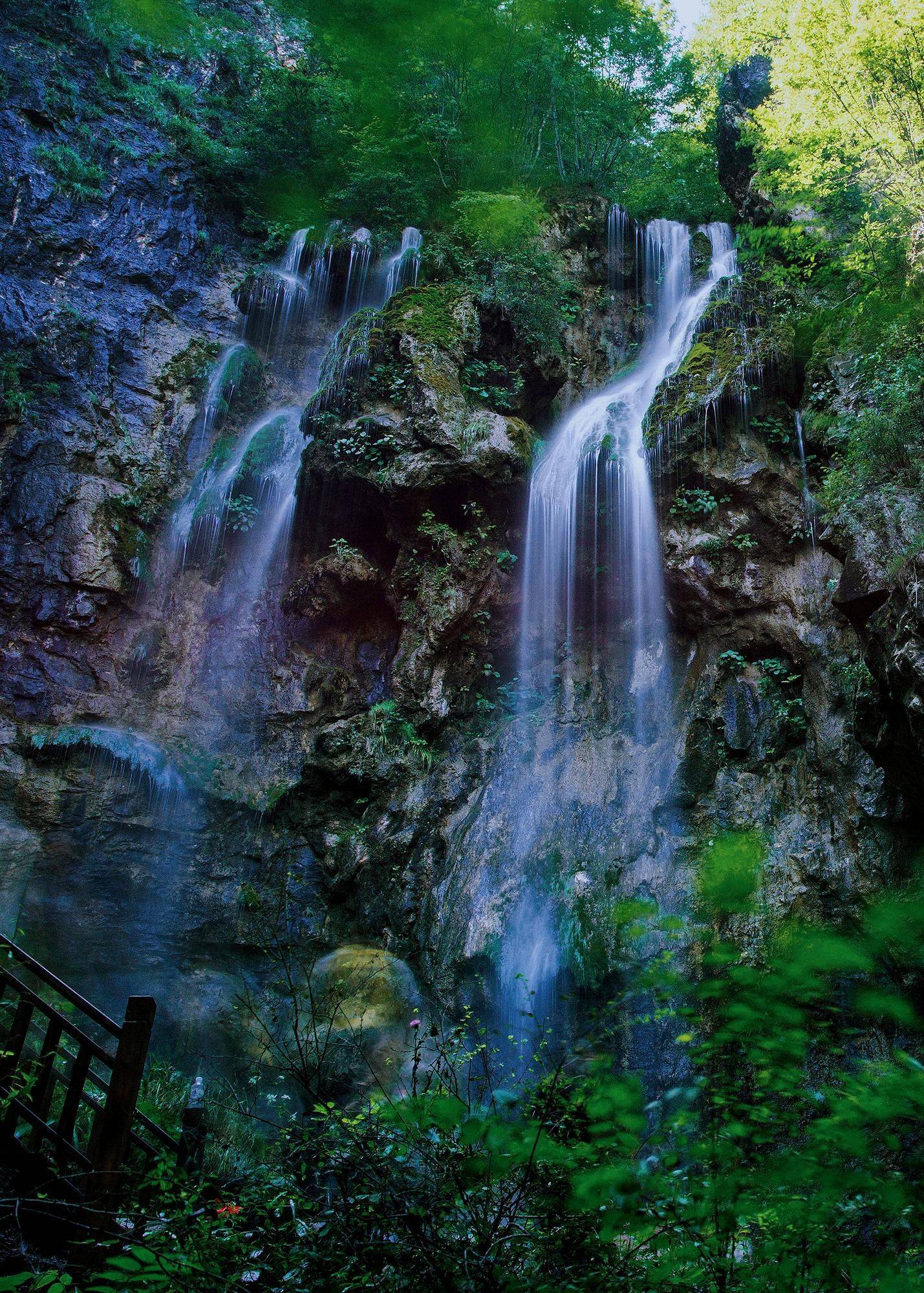 寻找洛阳小众宝藏景点这个竹林景区值得一去山水竹瀑适合旅游