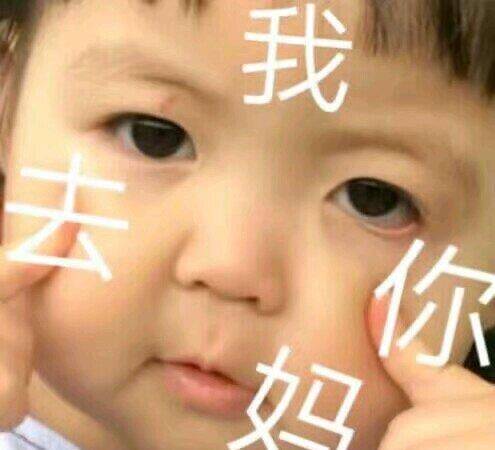 【金馆长表情包】_耗子_wdnmd_老子