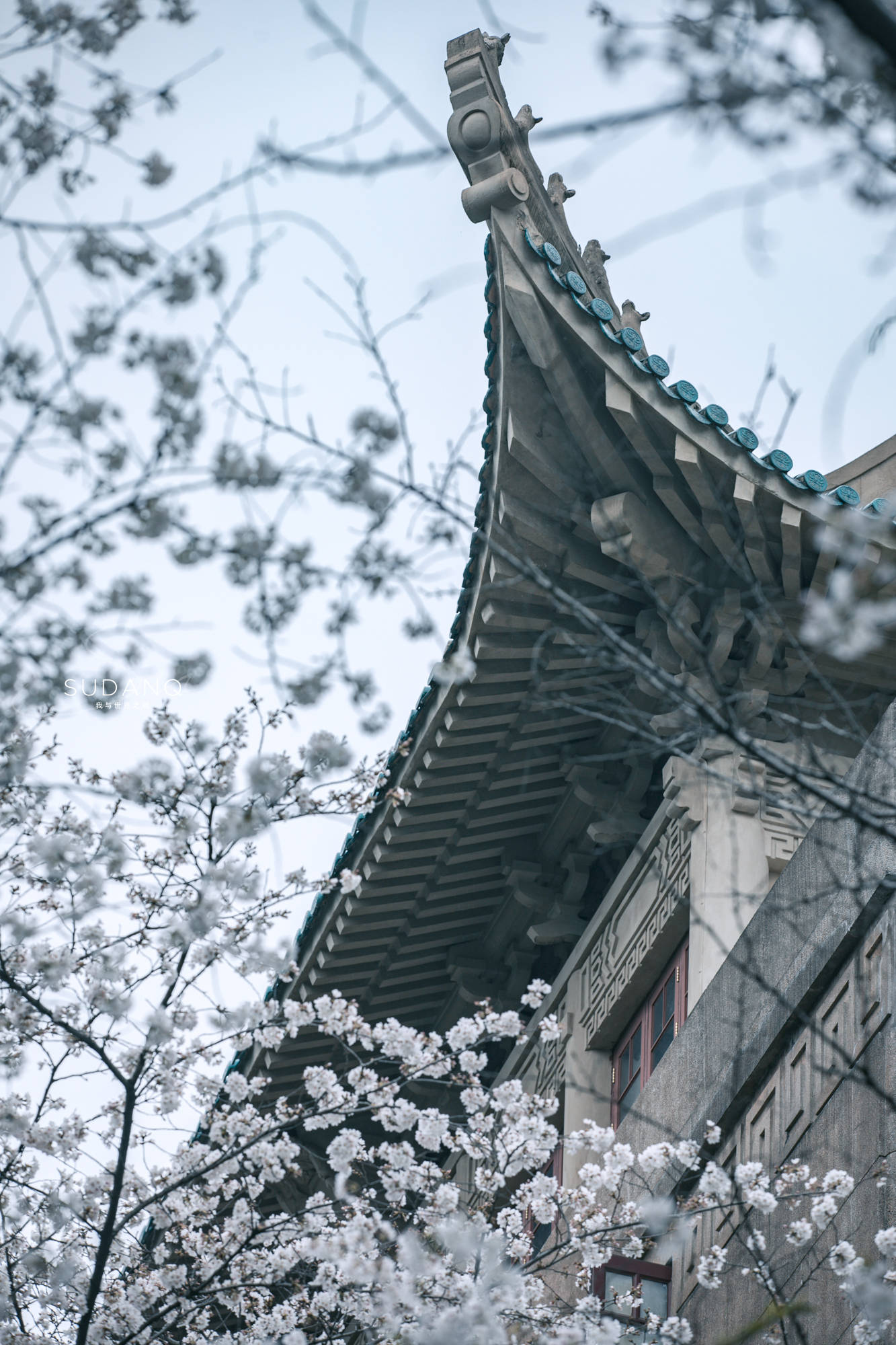 国家|成功了！武汉上榜！这座城市真的是每天不一样，处处是风景