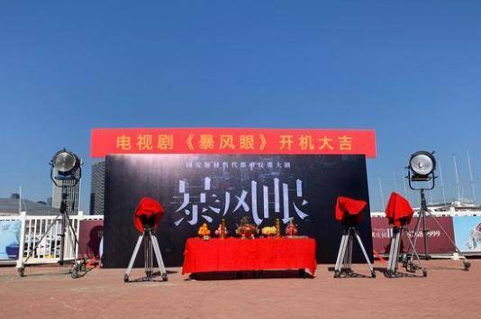 因为|他在《都挺好》后又与杨幂合作，网友：离大红大紫不远了！