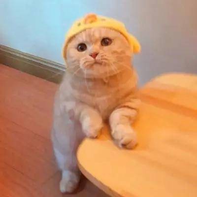 玛吉为什么她会从整形模板翻车成馒化代表?