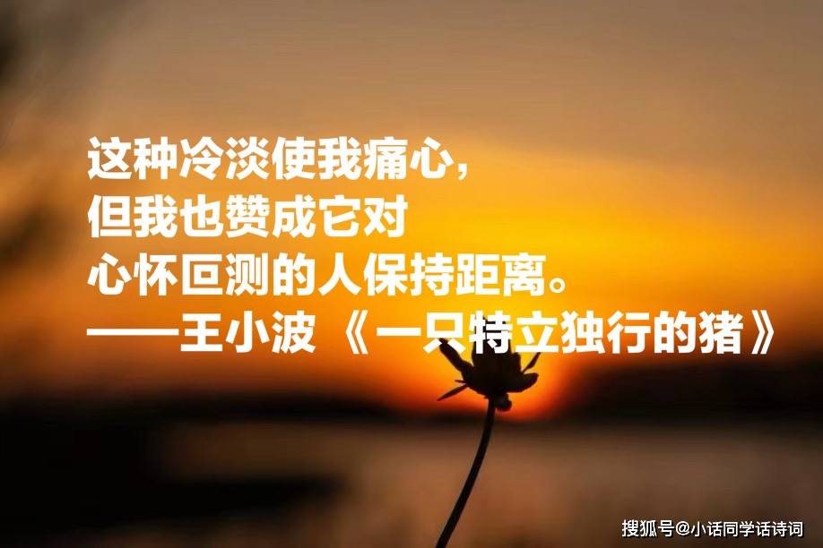 6468105f37bb44cb8881b731bf01a22d.jpeg