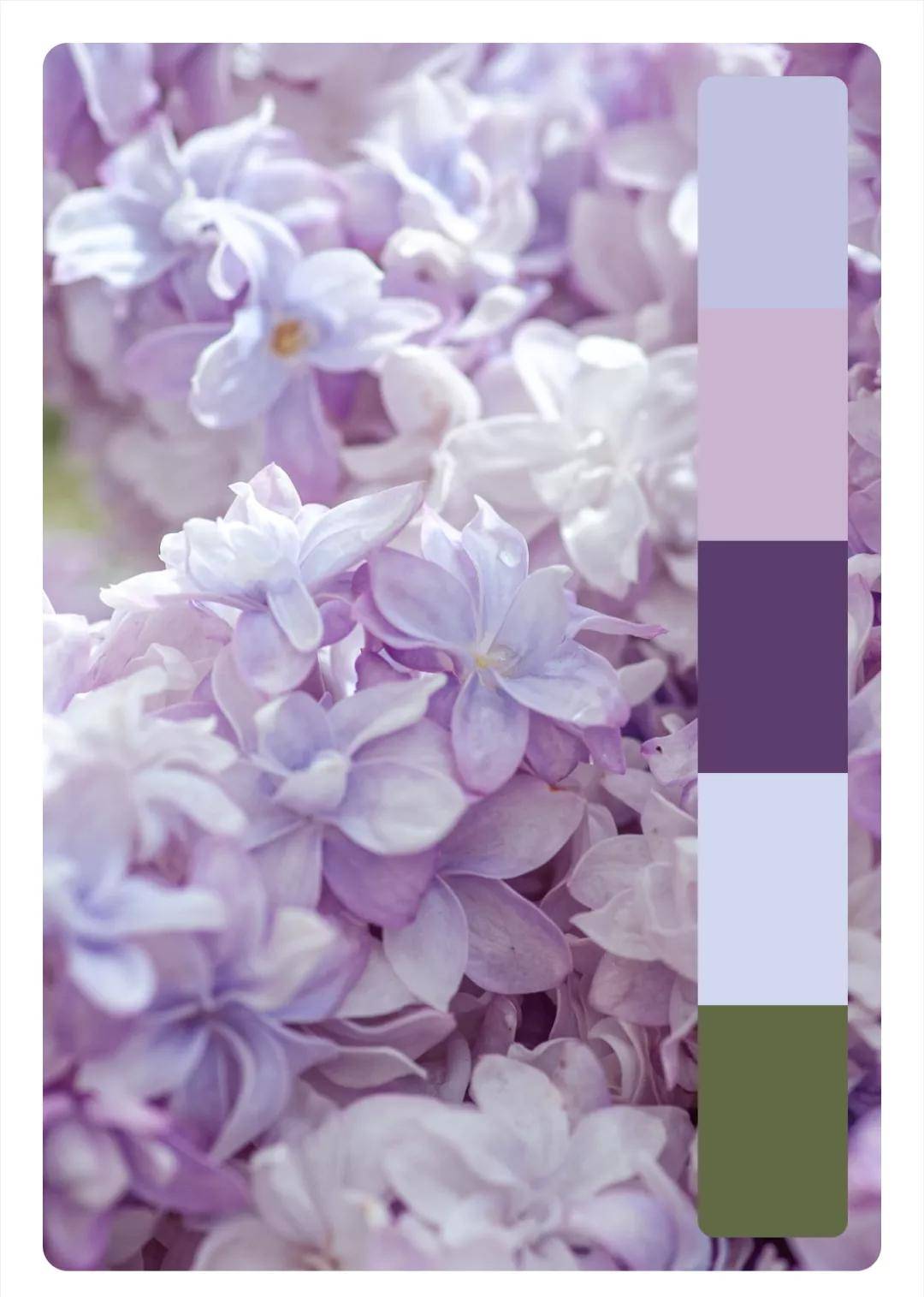 配色方案属于这个春天的色彩搭配