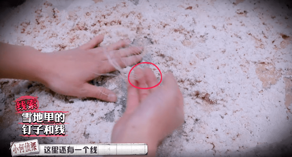 甄白雪|连续6年口碑破8分的《大侦探》，迎来七年之痒了吗？