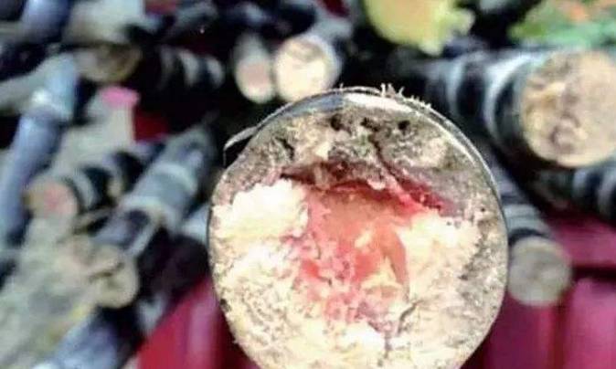 缺乏营养|比吸烟还可怕的4样零食，可能会将好细胞赶走，你还在吃它们吗？