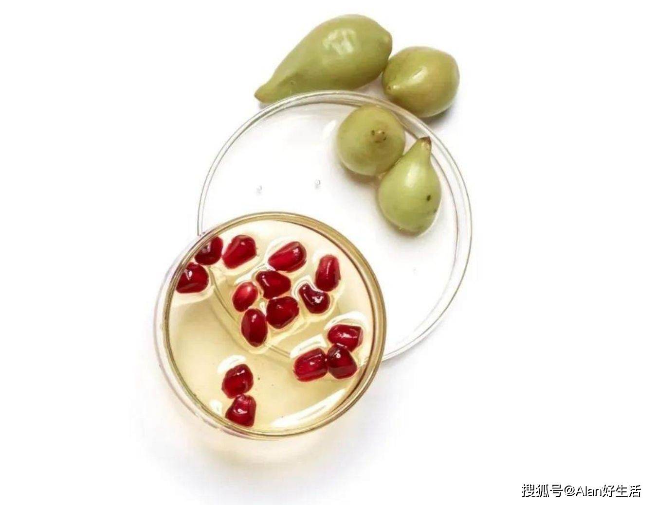 氧化VTN之家：如何逆袭“岁月”这把杀猪刀？皮肤衰老的元凶你知道吗