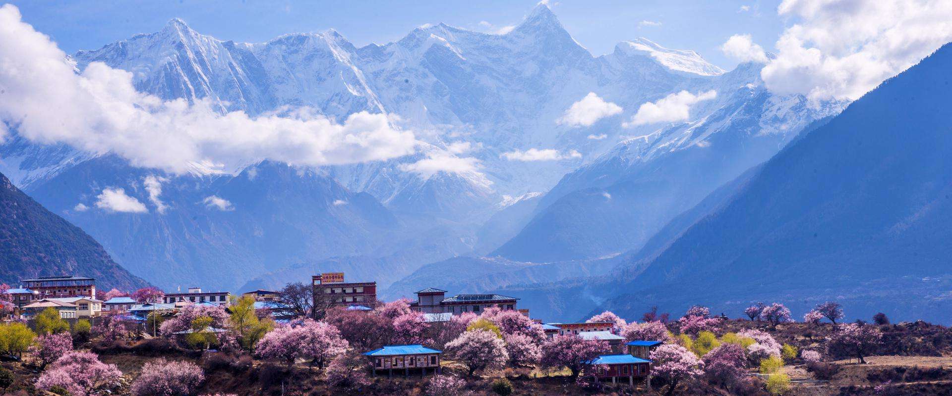 波密县_易贡乡_索松村