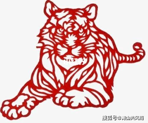 1998年属虎的人22年总运势分析 胆子大 有毅力 生肖 影响 本命年