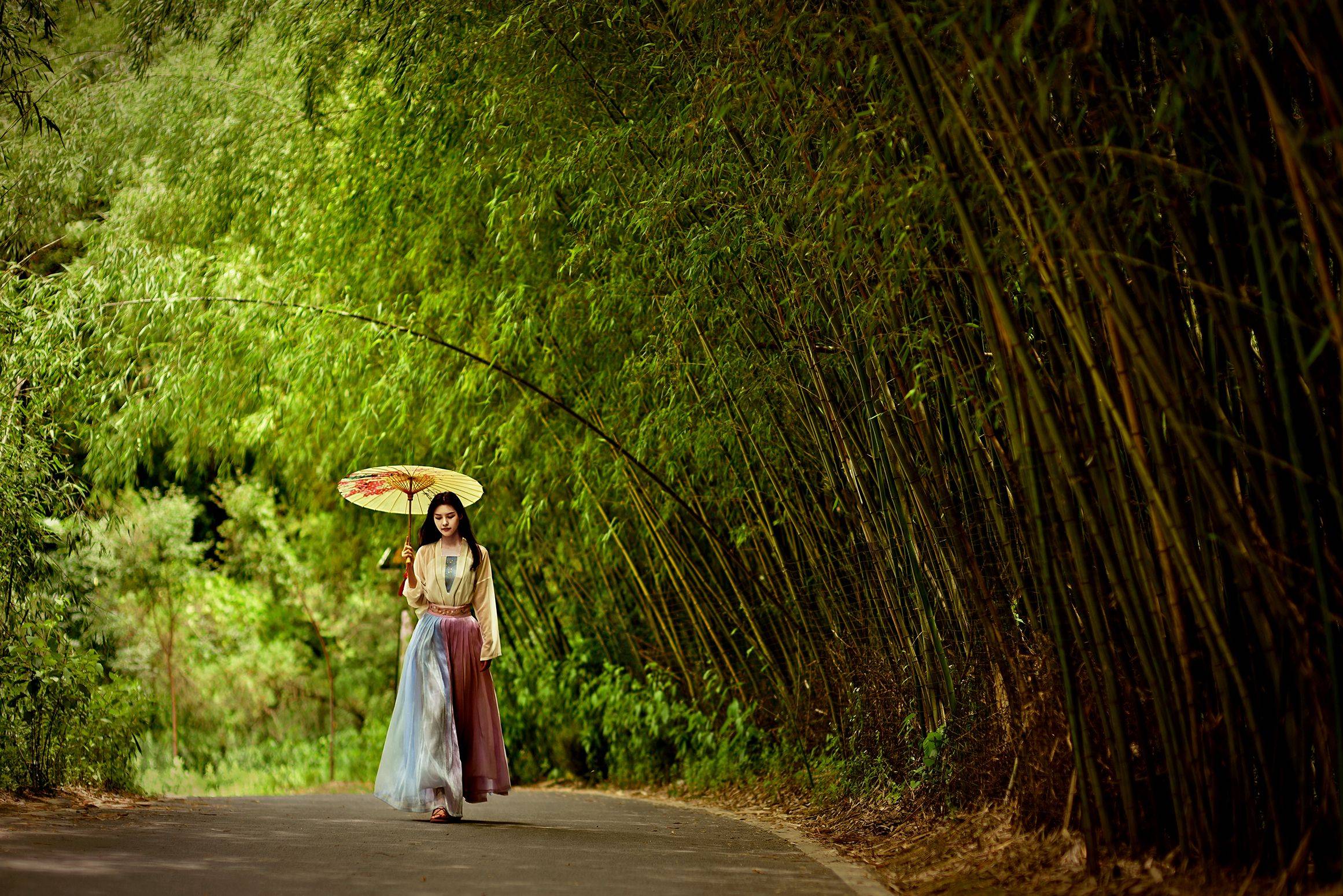 春暖花开洛阳旅游必去,隐藏在尘嚣中的宝藏景点,王府竹海景区_竹林