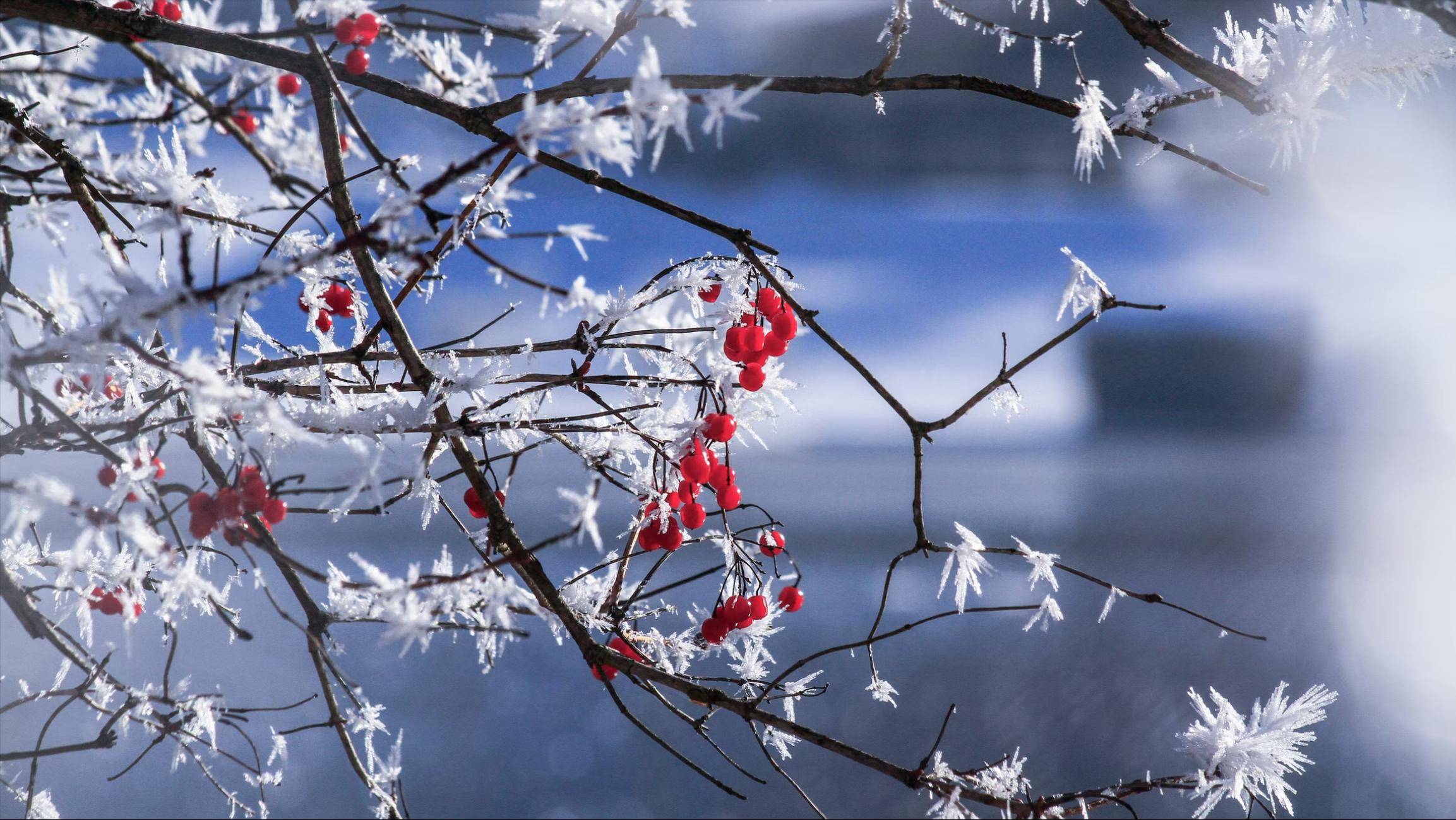 百毒不侵,城府颇深的星座,习惯了自我隐藏,也很清醒自己要什么_天蝎座