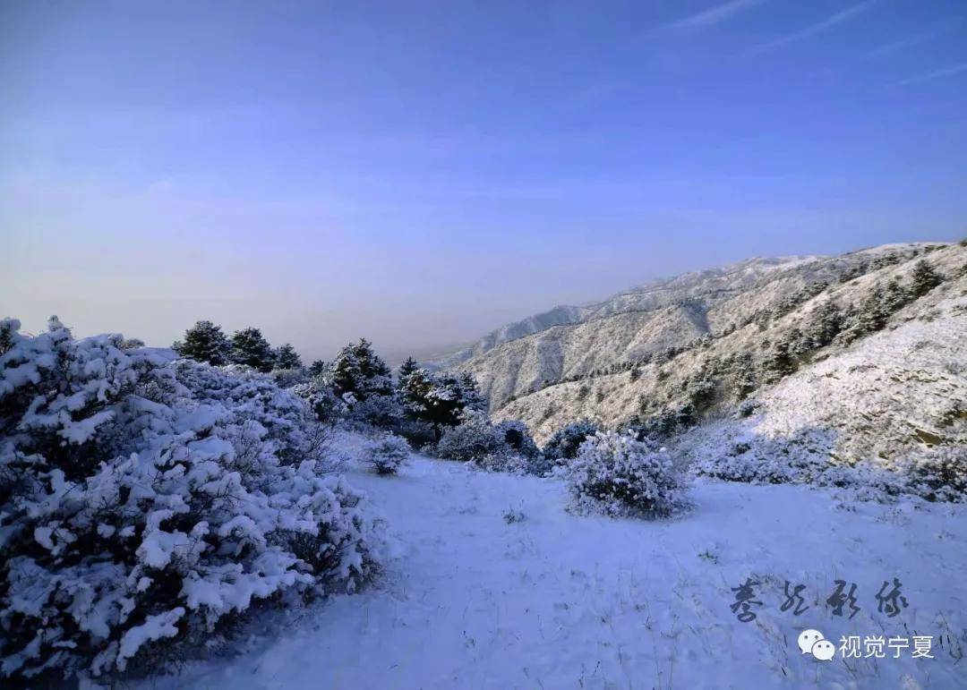 图说丨走进宁夏罗山,寻找静谧幽远的神话_自然保护区_荒漠化_圪塔