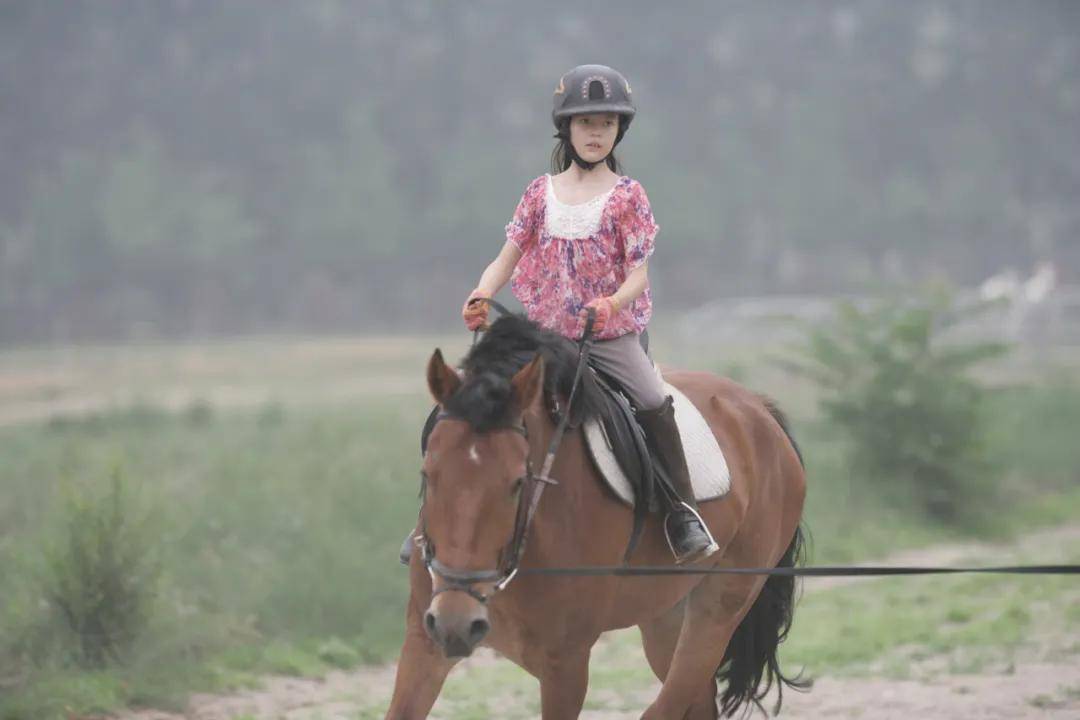 原创特稿8岁那年冬奥冠军谷爱凌在稻香湖骑马的日子