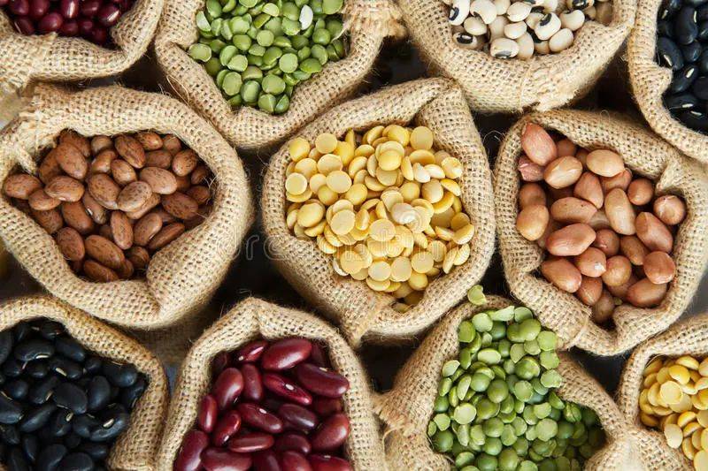 肾脏|肾移植后能吃豆类吗？豆类食品不是肾脏患者禁忌！