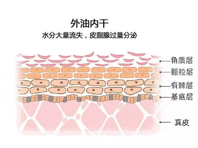 方法网红圈超火的“以油养肤”是真的吗？