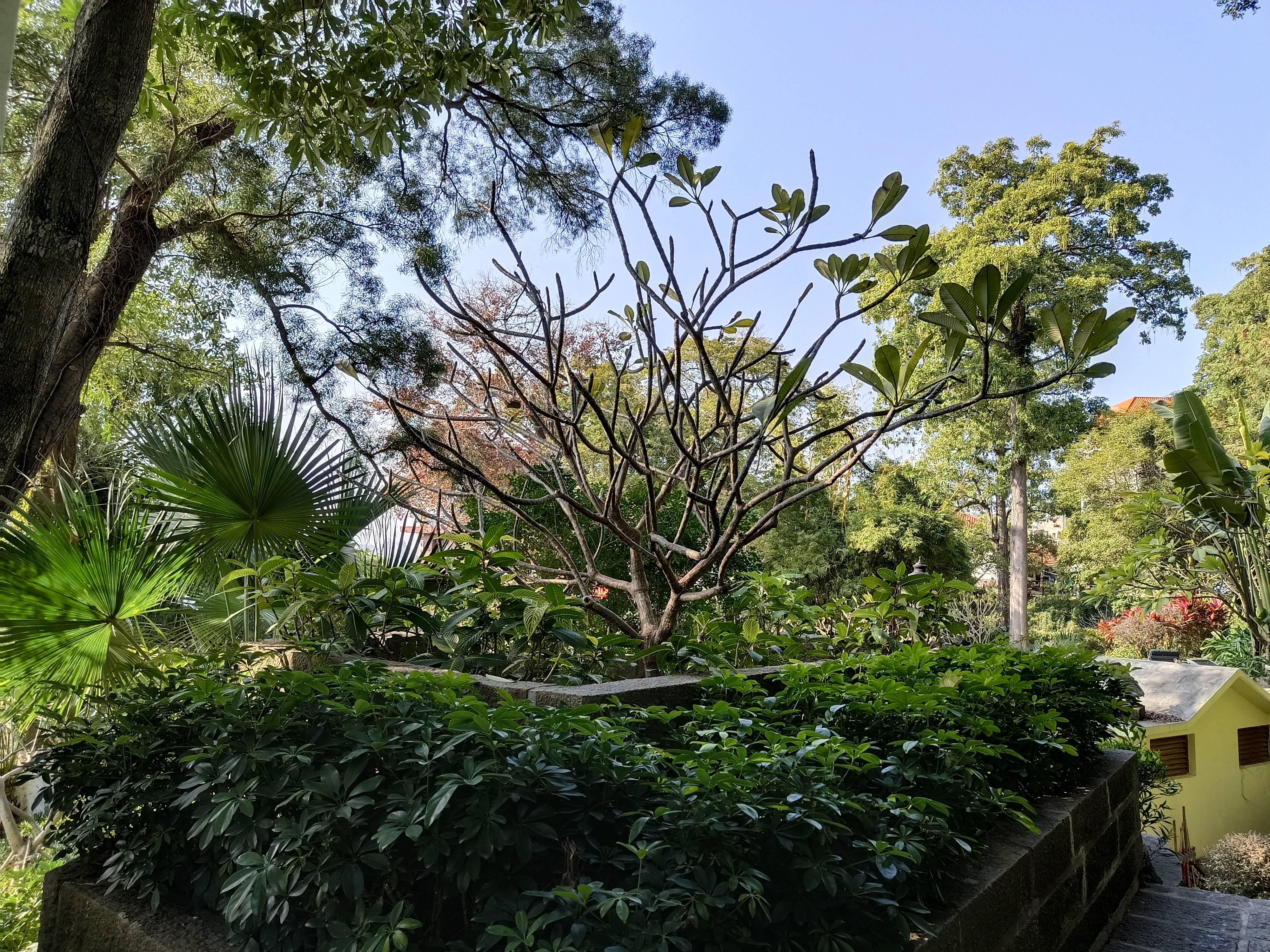 上岛|鼓浪屿的美要慢慢去挖掘，褪去网红光环的小岛，才是它真实的模样