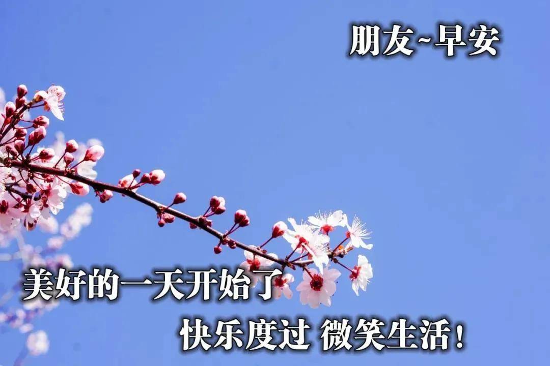 8张最美风景早上好图片带字带祝福语 免打字春天风景早上好问候祝福