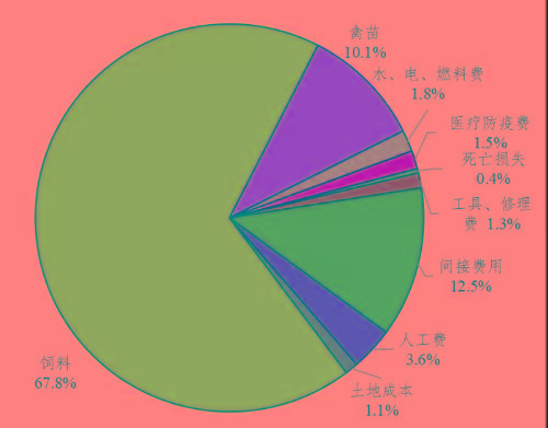 廣東規模基地肉雞養殖成本佔比圖廣東規模基地肉雞養殖利潤走勢圖雞蛋