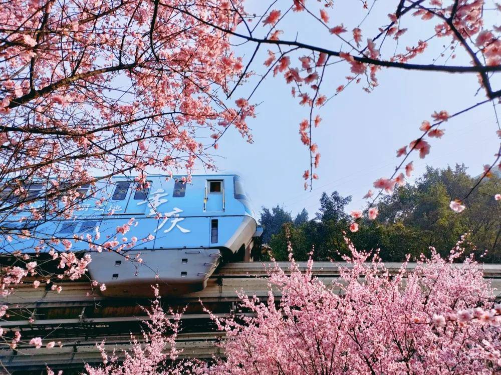 又到春暖花开时！“开往春天的列车”升级归来~