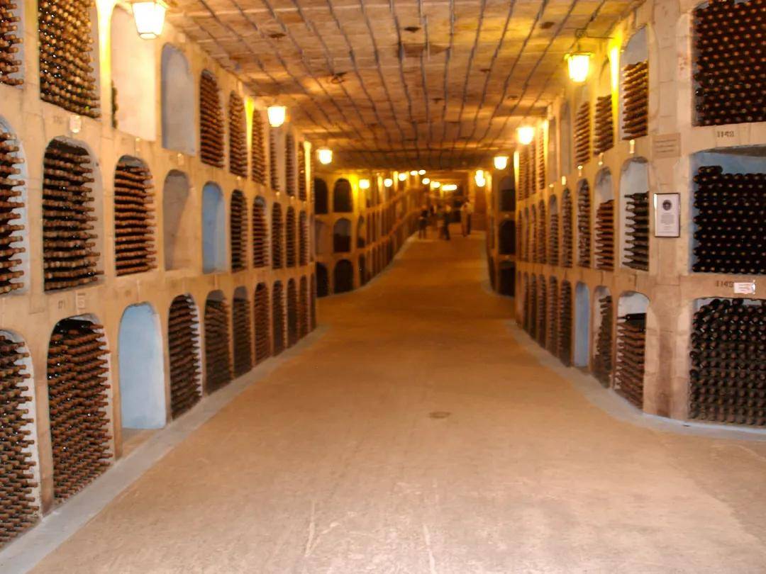 Milestii Mici 拥有世界最大的酒窖，长度超过200公里，藏酒接近200万瓶
