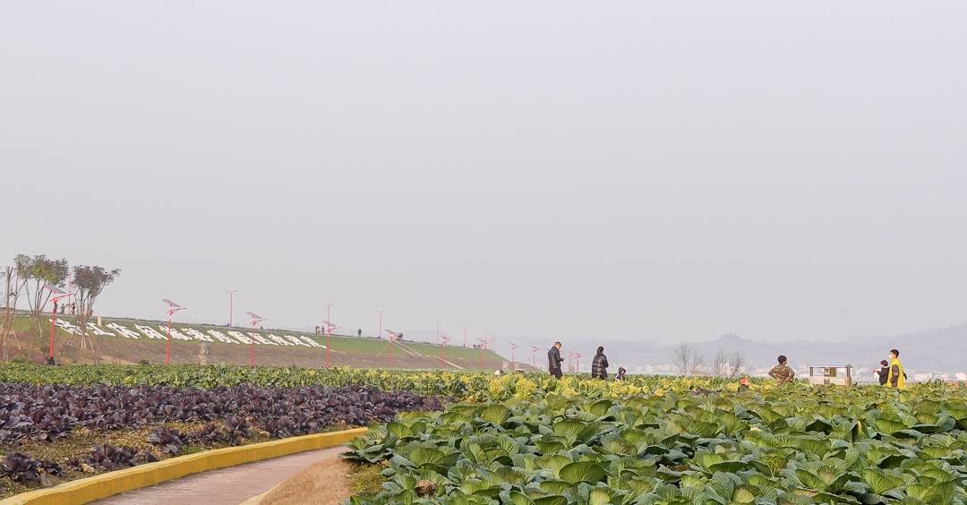 原创重庆有个很接地气的公园，设计理念西部首创，或成又一个网红景点